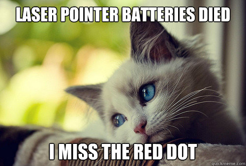 Laser pointer batteries died  I miss the red dot  First World Problems Cat