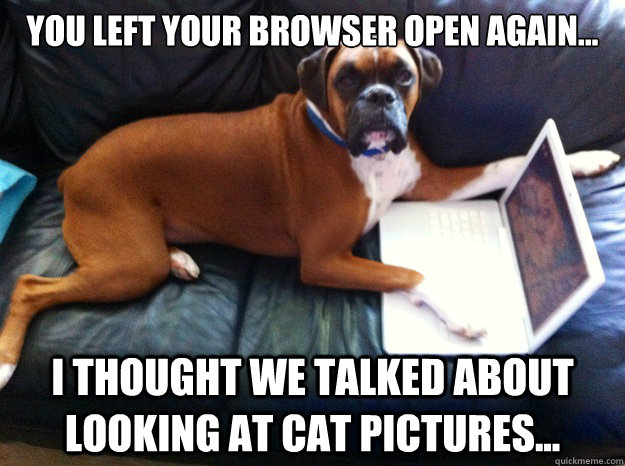 you left your browser open again... i thought we talked about looking at cat pictures...  Oblivious Boxer