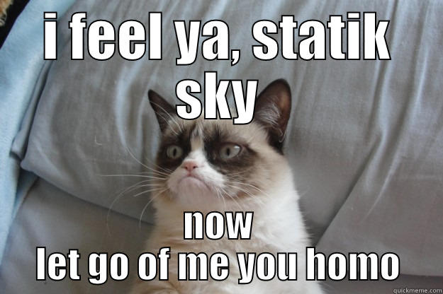 home sweet home - I FEEL YA, STATIK SKY NOW LET GO OF ME YOU HOMO Grumpy Cat