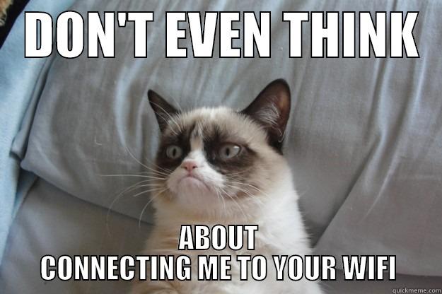   DON'T EVEN THINK   ABOUT CONNECTING ME TO YOUR WIFI Grumpy Cat