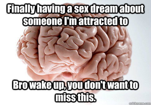 Finally having a sex dream about someone I'm attracted to Bro wake up, you don't want to miss this.   Scumbag Brain