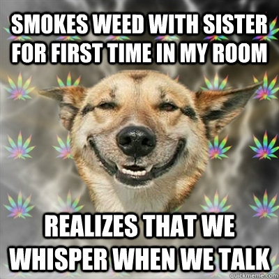 Smokes weed with sister for first time in my room realizes that we whisper when we talk  Stoner Dog