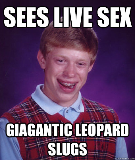 Sees live sex Giagantic leopard slugs  Bad Luck Brian