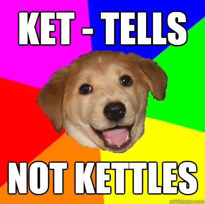 KEt - TELlS not kettles  Advice Dog