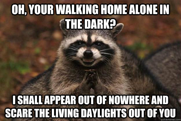 Oh, your walking home alone in the dark? I shall appear out of nowhere and scare the living daylights out of you  - Oh, your walking home alone in the dark? I shall appear out of nowhere and scare the living daylights out of you   Evil Plotting Raccoon