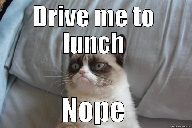 DRIVE ME TO LUNCH NOPE Grumpy Cat