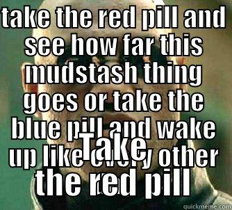 The choice is yours - TAKE THE RED PILL AND SEE HOW FAR THIS MUDSTASH THING GOES OR TAKE THE BLUE PILL AND WAKE UP LIKE EVERY OTHER DAY TAKE THE RED PILL Matrix Morpheus