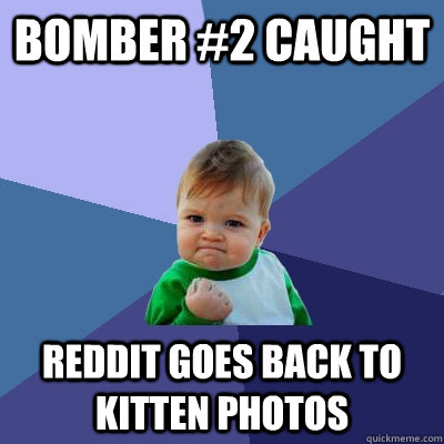 Bomber #2 caught Reddit goes back to kitten photos  Success Kid