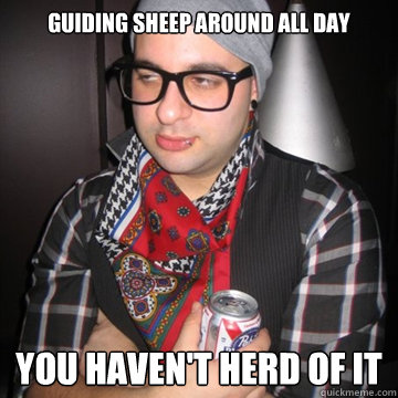 guiding sheep around all day you haven't herd of it  Oblivious Hipster