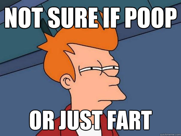 not sure if poop or just fart  Futurama Fry