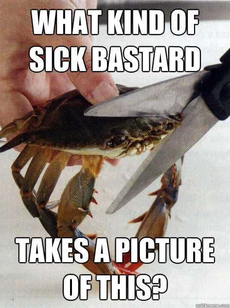 What kind of sick bastard takes a picture of this? - What kind of sick bastard takes a picture of this?  Optimistic Crab