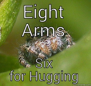 EIGHT ARMS SIX FOR HUGGING Misunderstood Spider