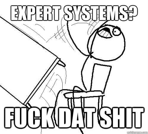 Expert systems? fuck dat shit  Flip A Table