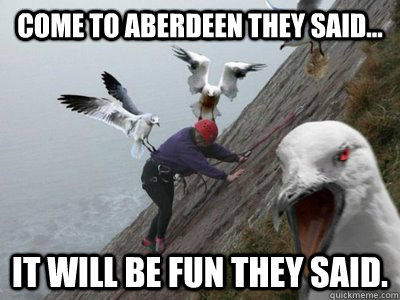 Come to Aberdeen they said... It will be fun they said.  