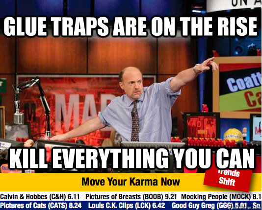 Glue traps are on the rise Kill everything you can  Mad Karma with Jim Cramer