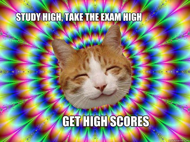 Study High, Take The Exam high Get high scores - Study High, Take The Exam high Get high scores  Stoner Kitty