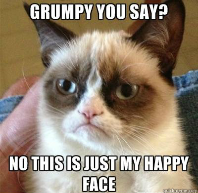 Top caption Bottom caption  Grumpy Cat