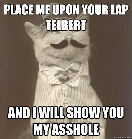 Place me upon your lap telbert and I will show you my asshole  Original Business Cat