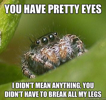 you have pretty eyes i didn't mean anything, you didn't have to break all my legs - you have pretty eyes i didn't mean anything, you didn't have to break all my legs  Misunderstood Spider