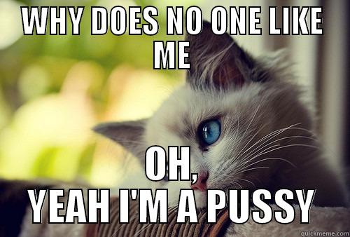 WHY DOES NO ONE LIKE ME OH, YEAH I'M A PUSSY First World Problems Cat