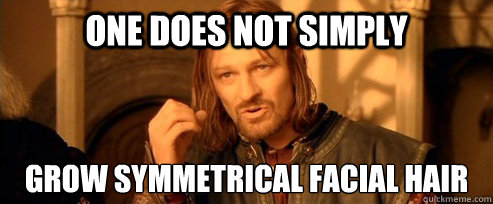 One does not simply Grow symmetrical facial hair  One Does Not Simply