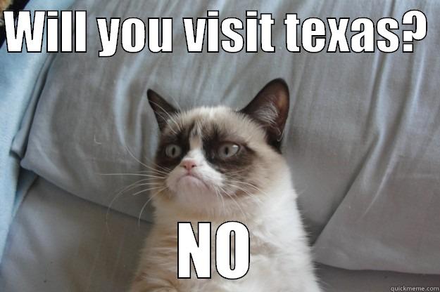 Visiting Texas - WILL YOU VISIT TEXAS?  NO Grumpy Cat