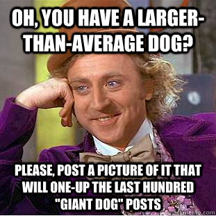 Oh, you have a larger-than-average dog? Please, post a picture of it that will one-up the last hundred 