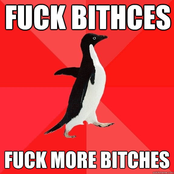 Fuck bithces fuck more bitches  Socially Awesome Penguin