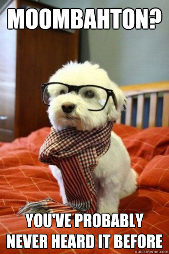 Moombahton?
 You've Probably never heard it before  Hipster Dog