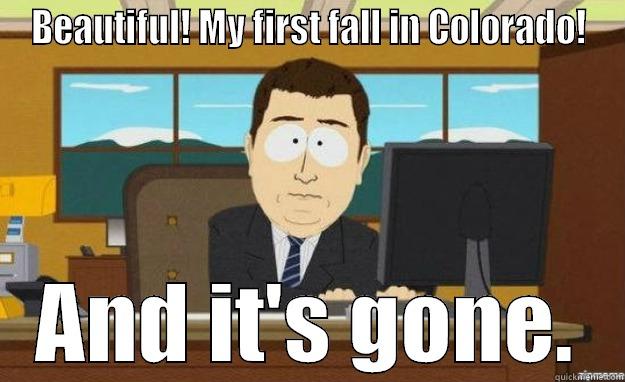 BEAUTIFUL! MY FIRST FALL IN COLORADO! AND IT'S GONE. aaaand its gone