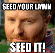 Seed your lawn SEED IT! - Seed your lawn SEED IT!  SCOTT!