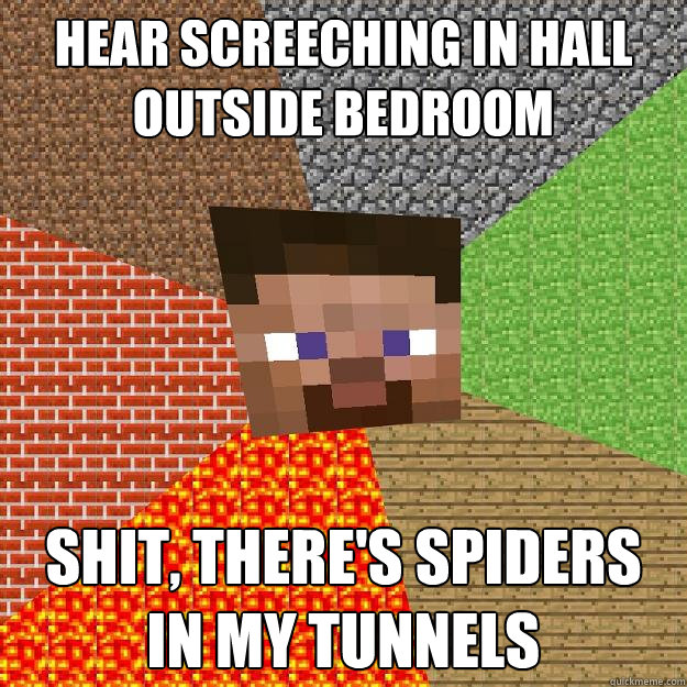 Hear screeching in hall outside bedroom Shit, there's spiders in my tunnels  Minecraft