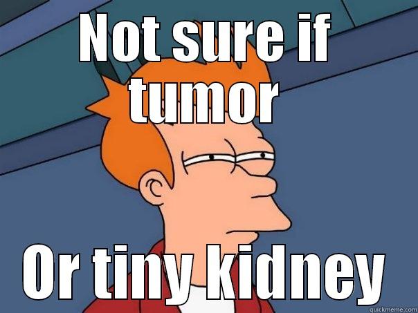 NOT SURE IF TUMOR OR TINY KIDNEY Futurama Fry