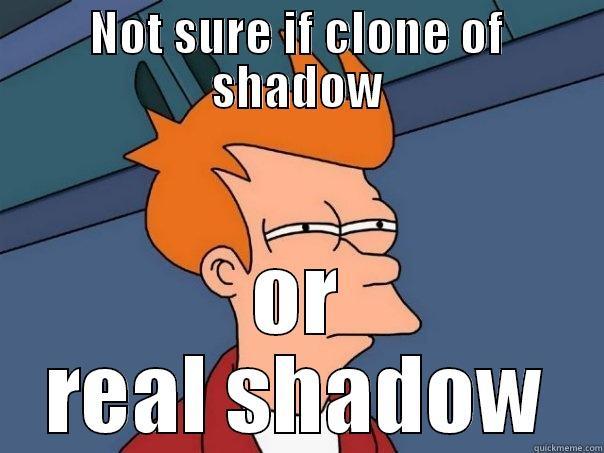 NOT SURE IF CLONE OF SHADOW OR REAL SHADOW Futurama Fry