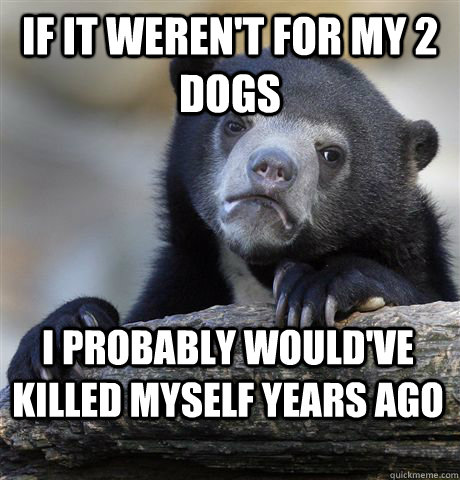 If it weren't for my 2 dogs I probably would've killed myself years ago - If it weren't for my 2 dogs I probably would've killed myself years ago  Confession Bear