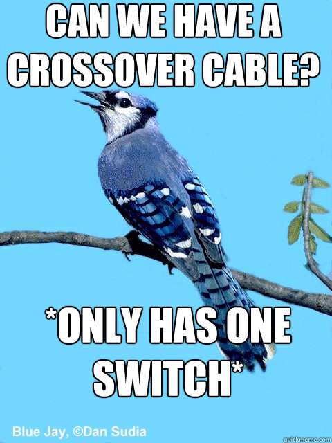 can we have a crossover cable? *only has one switch*  Blue Team Bird