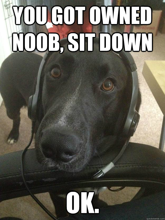 YOU GOT OWNED NOOB, SIT DOWN Ok.  Gamer Dog