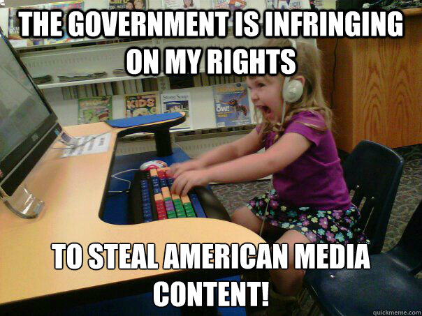 The government is infringing on my rights  to steal American media content!
  Angry computer girl