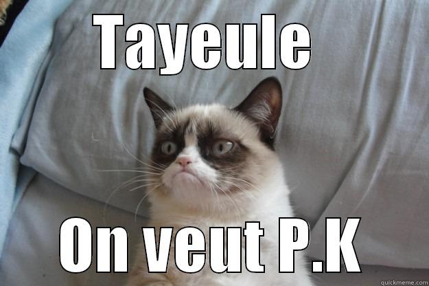 On veut P.K - TAYEULE  ON VEUT P.K Grumpy Cat