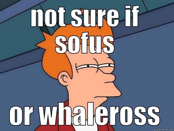 NOT SURE IF SOFUS OR WHALEROSS Futurama Fry