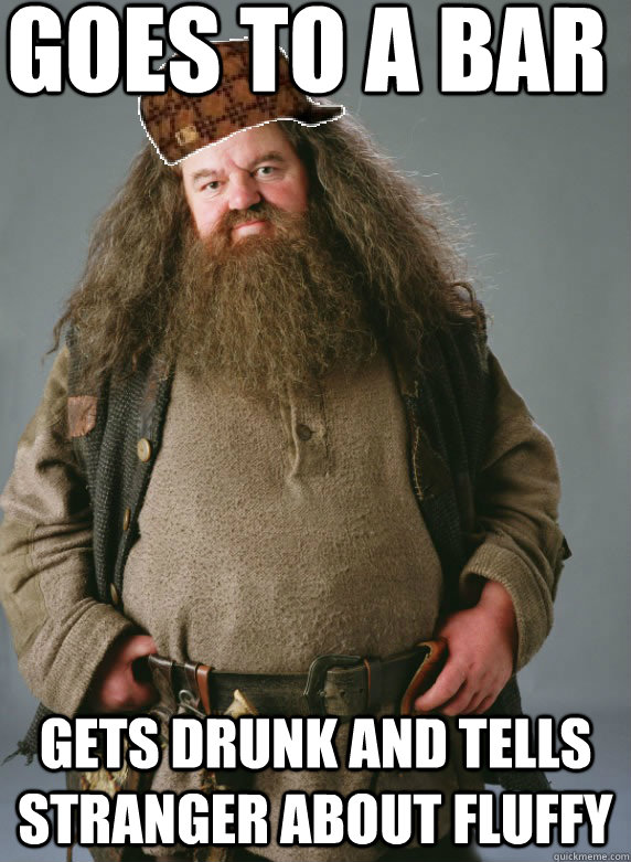 GOES TO A BAR GETS DRUNK AND TELLS STRANGER ABOUT FLUFFY  Scumbag Hagrid