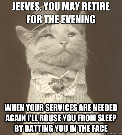 Jeeves, you may retire for the evening When your services are needed again I'll rouse you from sleep by batting you in the face  Aristocat