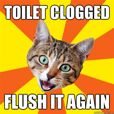 toilet clogged flush it again  Bad Advice Cat