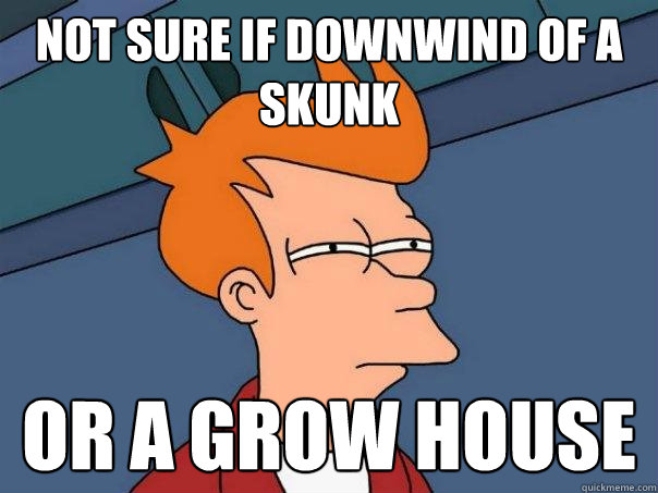 Not sure if downwind of a skunk or a grow house - Not sure if downwind of a skunk or a grow house  Futurama Fry