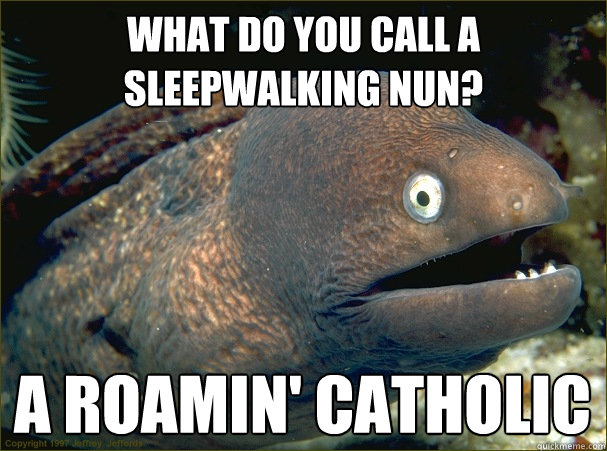 what do you call a sleepwalking nun? a roamin' catholic  Bad Joke Eel