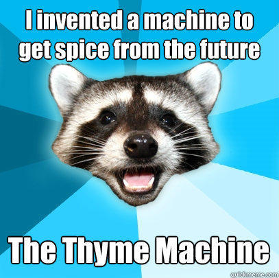 I invented a machine to get spice from the future The Thyme Machine - I invented a machine to get spice from the future The Thyme Machine  Lame Pun Coon