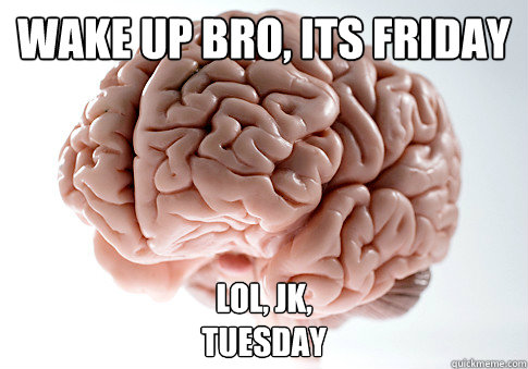 Wake up Bro, Its Friday LOL, JK,
Tuesday  Scumbag Brain