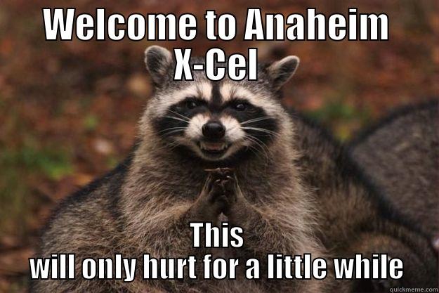 Pain is only temporary - WELCOME TO ANAHEIM X-CEL THIS WILL ONLY HURT FOR A LITTLE WHILE Evil Plotting Raccoon