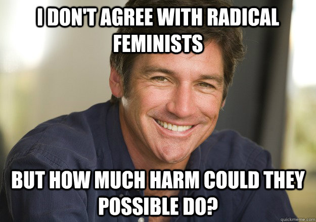 i don't agree with radical feminists but how much harm could they possible do?  Not Quite Feminist Phil