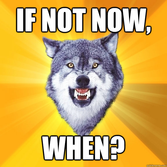 If not now, WHEN?  Courage Wolf